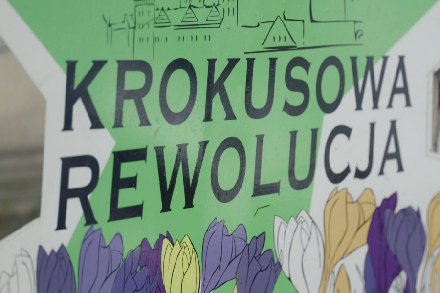 fot. Paweł Kochański